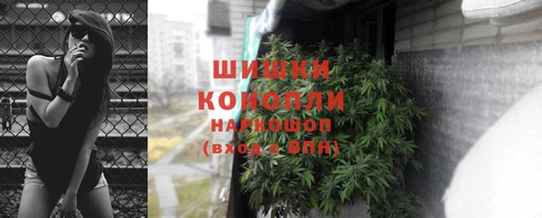 МДПВ Бородино