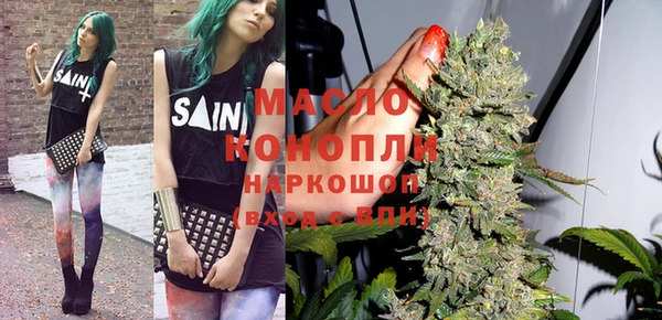 МДПВ Бородино