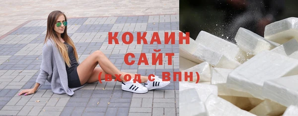 МДПВ Бородино