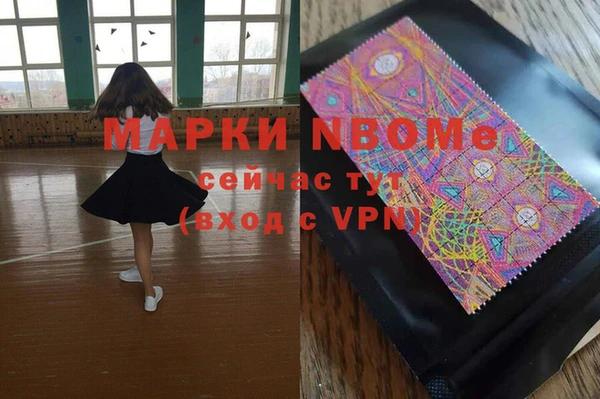 МДПВ Бородино
