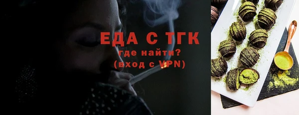 МДПВ Бородино