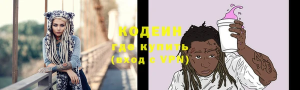 МДПВ Бородино