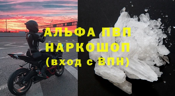 МДПВ Бородино