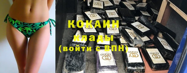 МДПВ Бородино