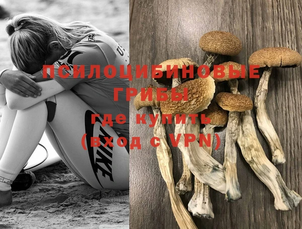 МДПВ Бородино